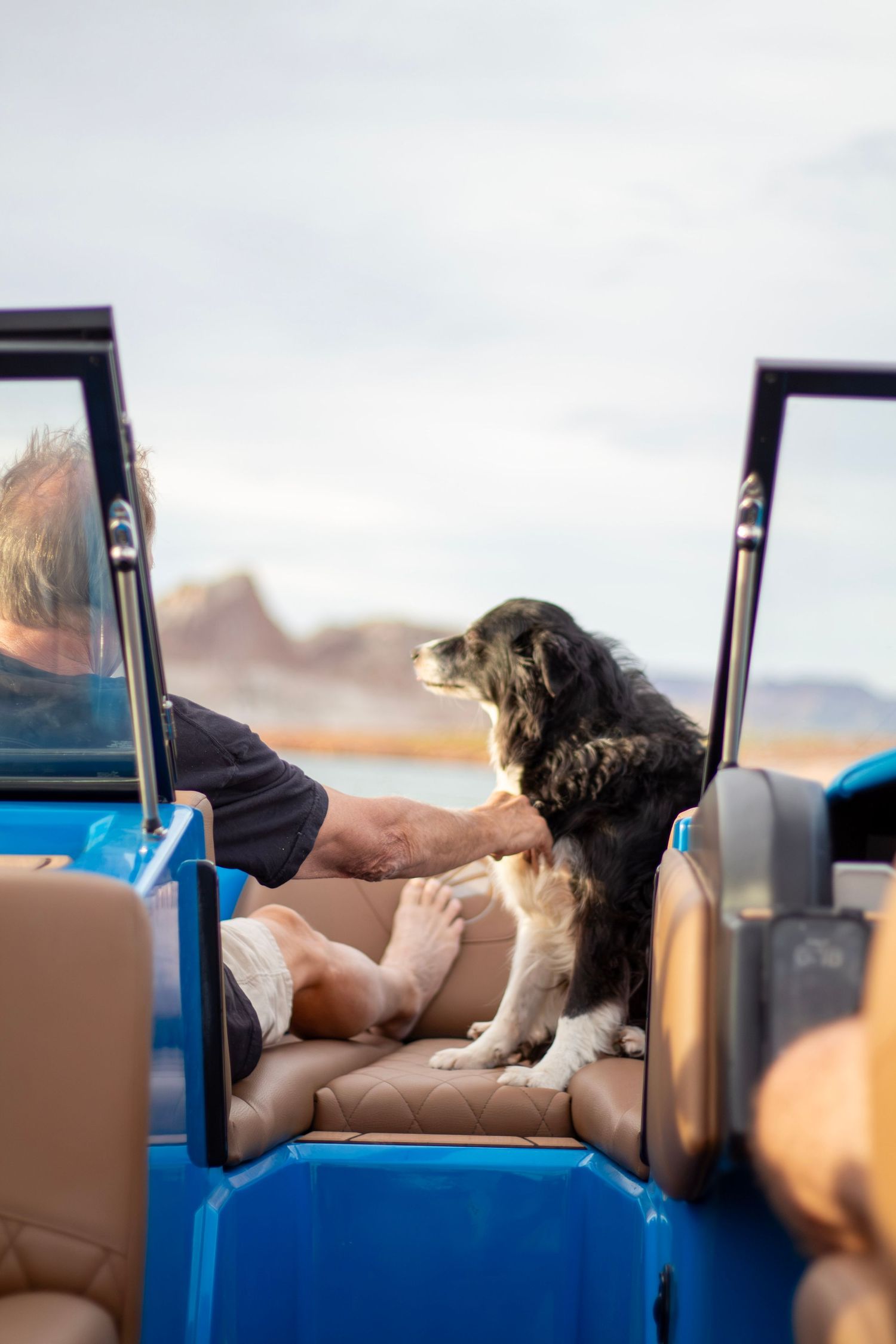 A black and white dog sits on a boat seat beside a person petting it, with rocky desert landscape in the background.