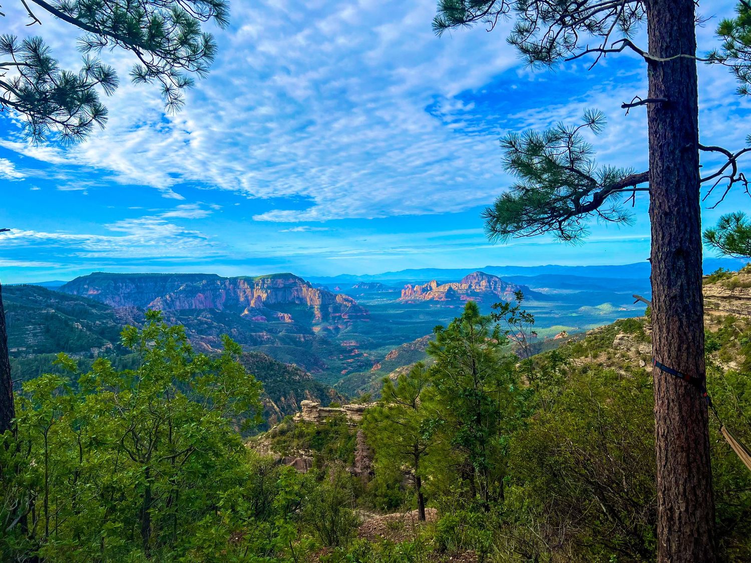 Panoramic view of Arizona landscape with pine trees, red rock formations, and blue sky with wispy clouds.