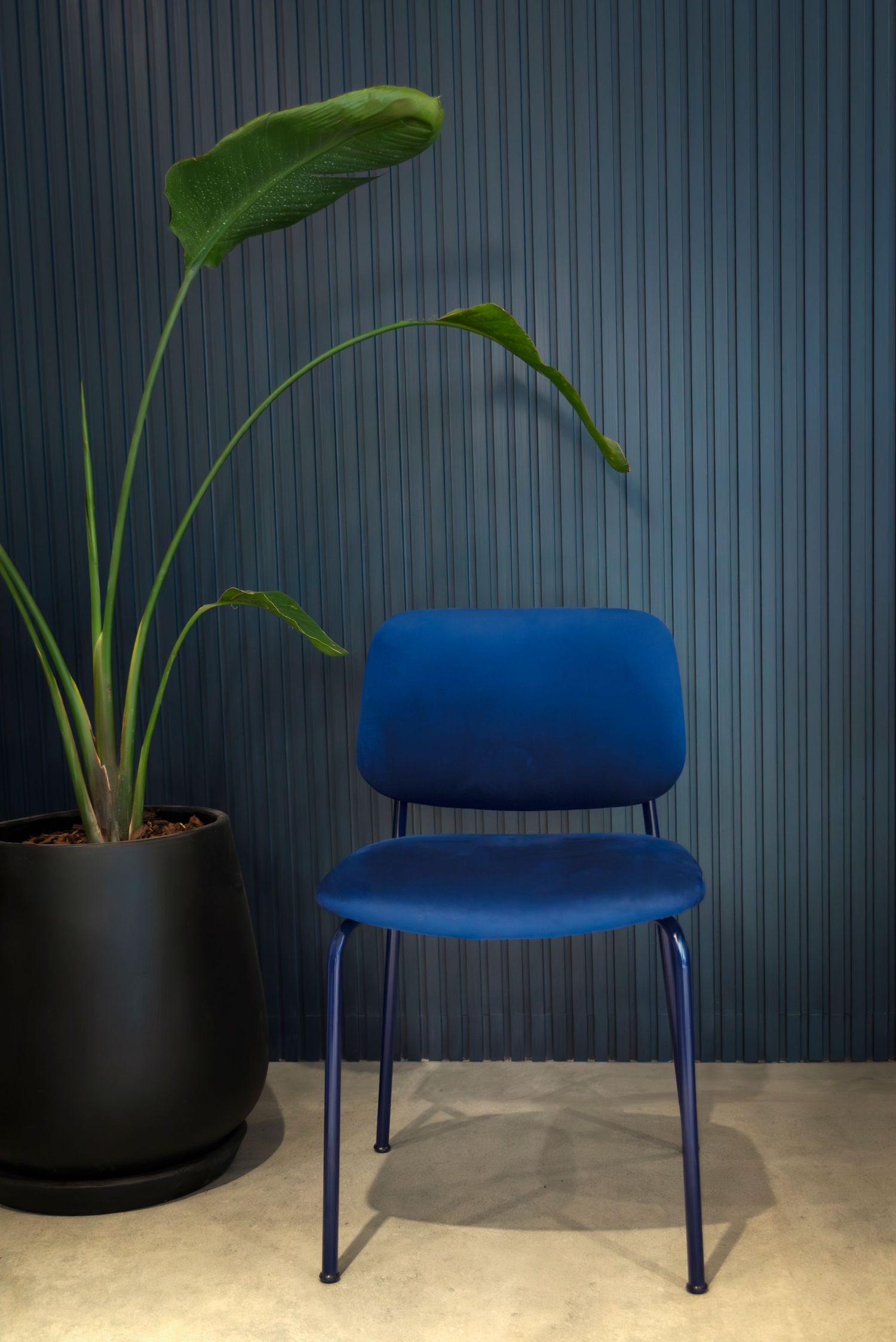 Silla, foto producto, catalogo