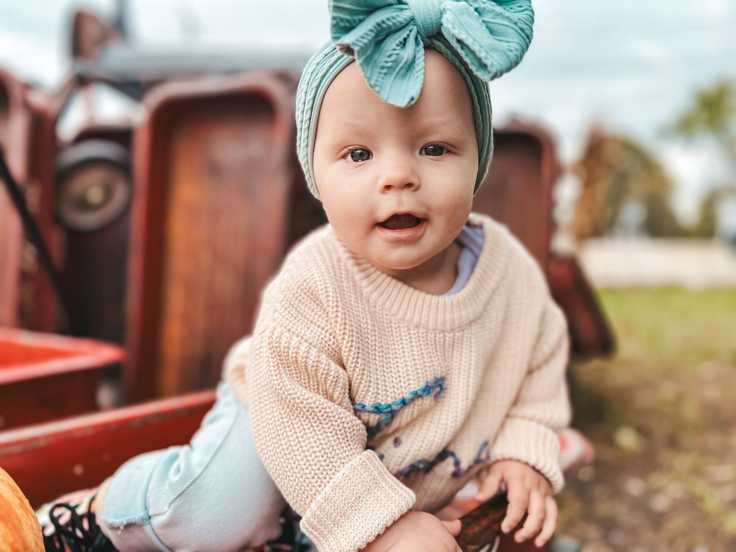 Fall photography, fall family photographer, pumpkin patch photo session, Chicago suburbs