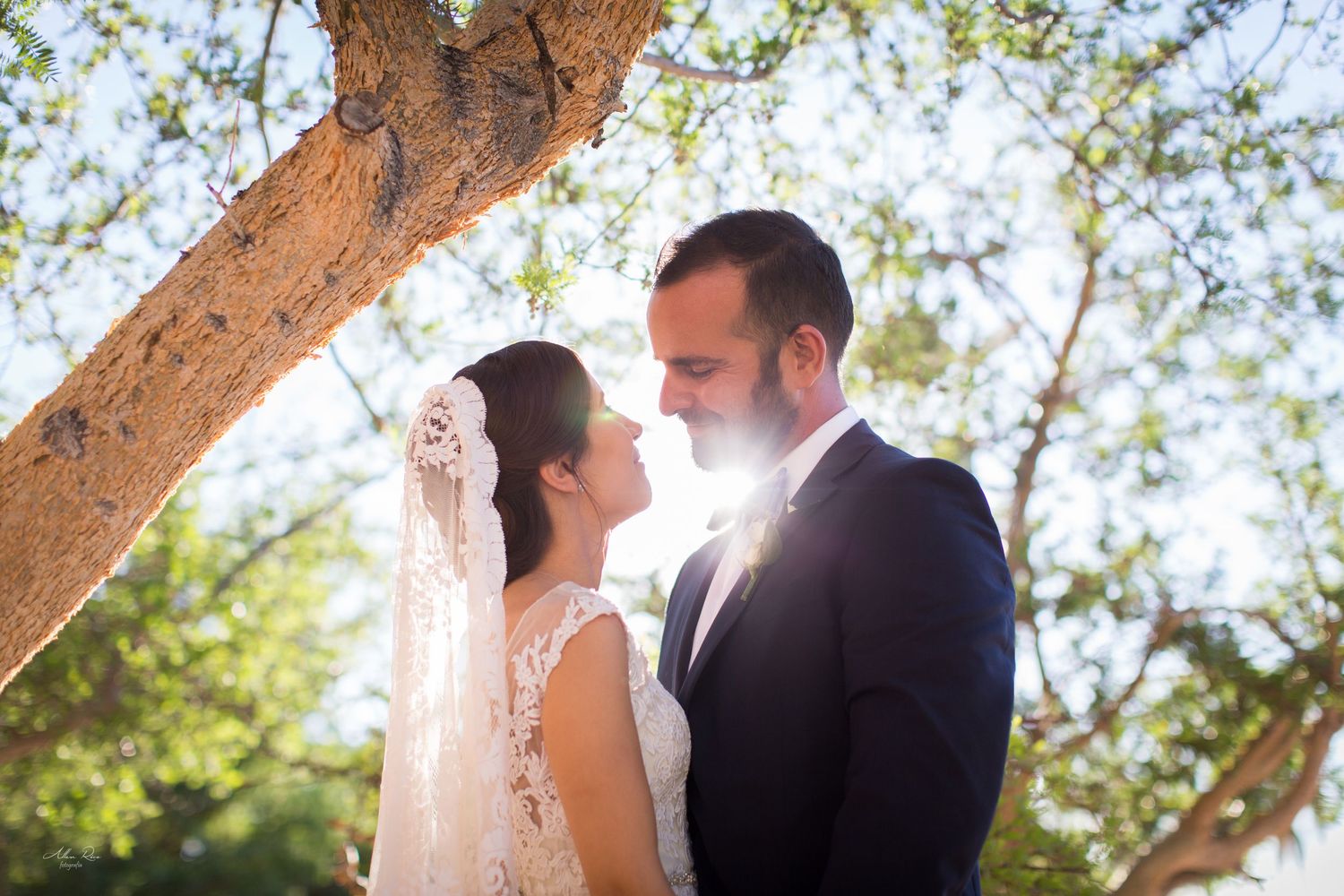Bride with lace veil and groom in navy suit share an intimate moment under a sunlit tree outdoors.