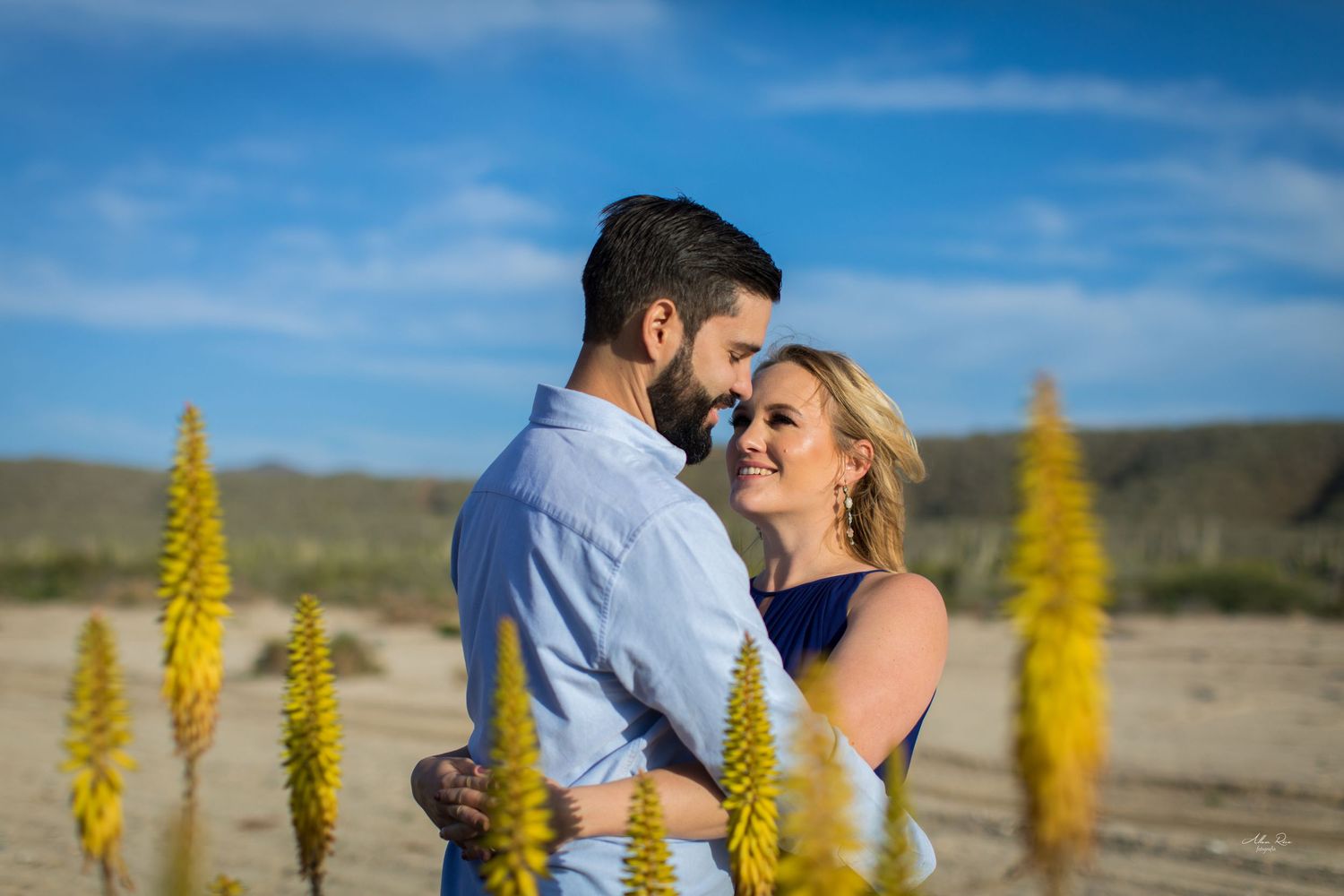 Couple sharing tender moment surrounded by yellow flowering plants under bright blue sky.