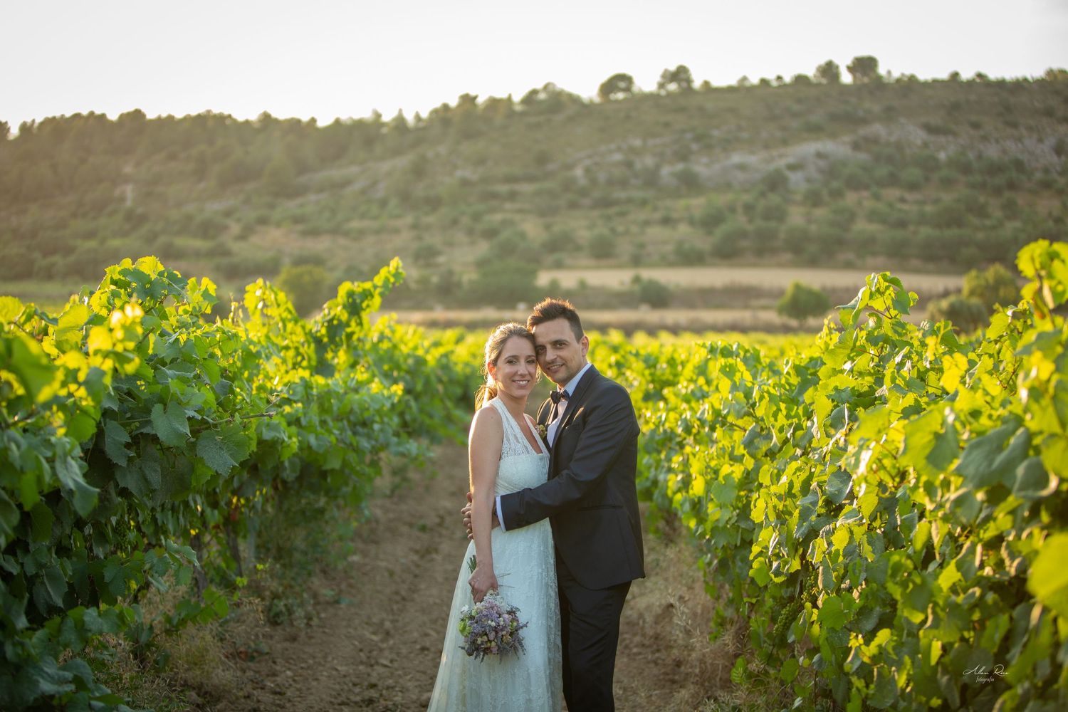 Newlywed couple embraces among lush green vineyard rows at sunset during their outdoor winery wedding.