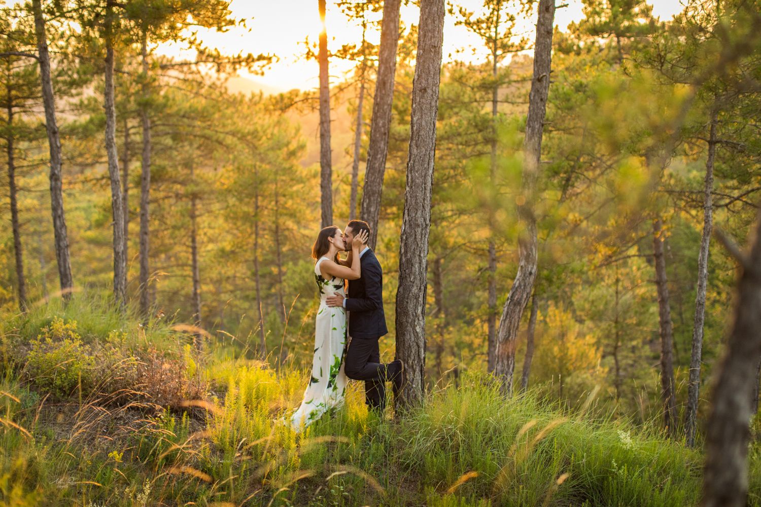Couple embracing in a sunlit forest during golden hour wedding photo session.