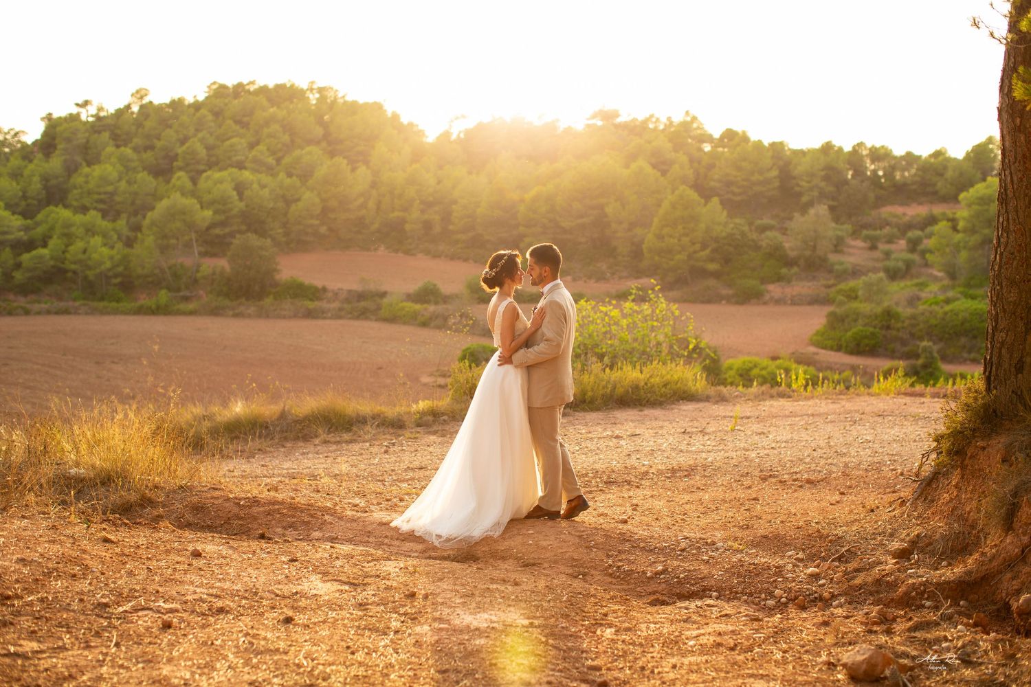 Romantic couple sharing a tender moment in a sunlit countryside landscape at golden hour.