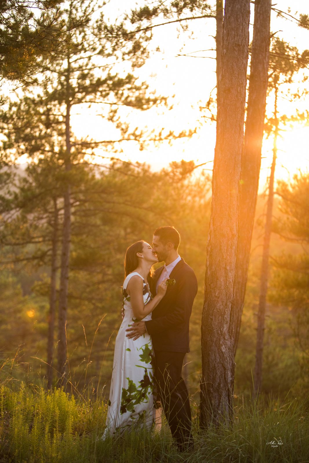 Wedding couple shares a tender kiss among pine trees bathed in warm golden sunset light.