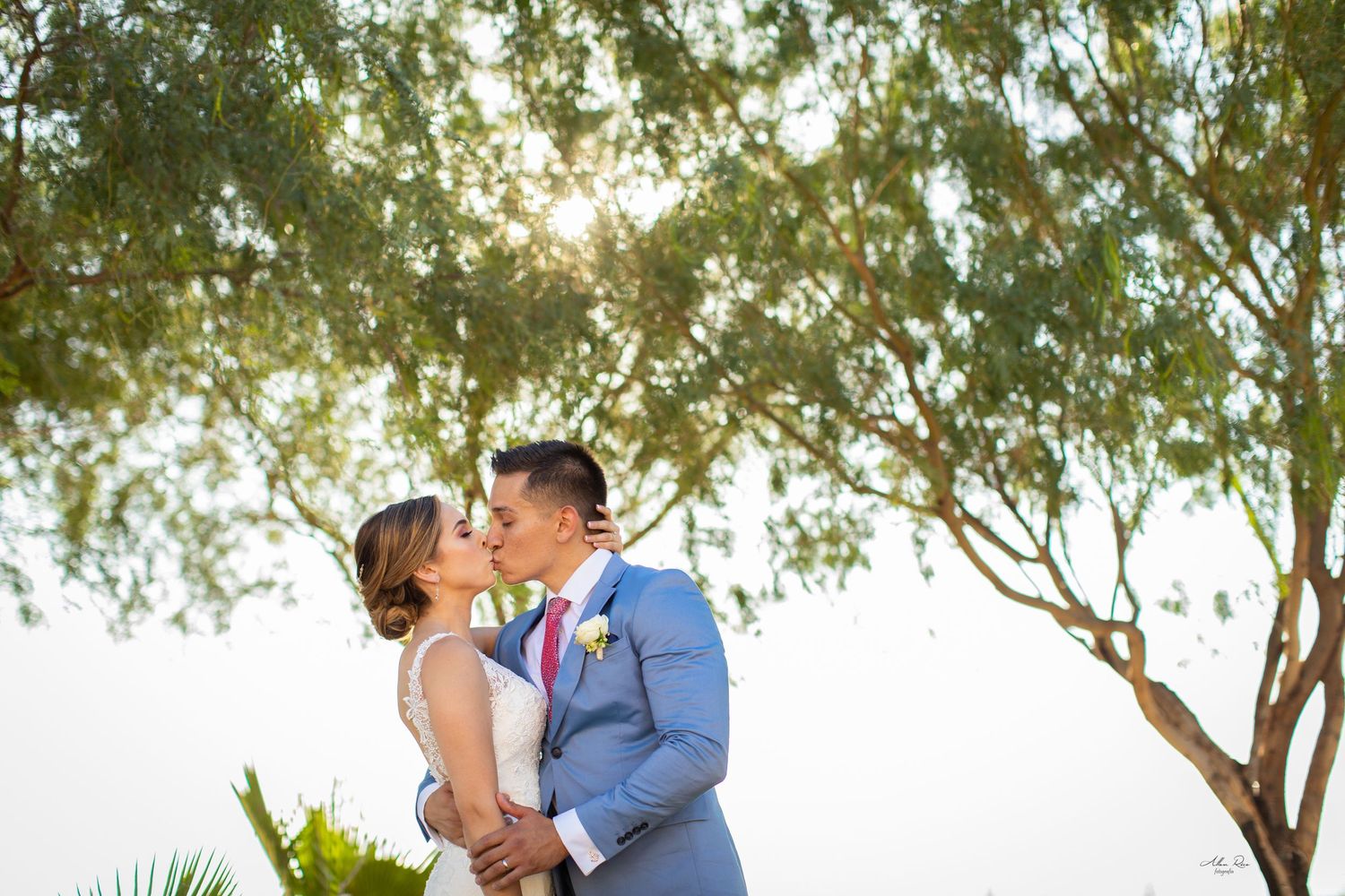 Wedding couple sharing a romantic kiss under a sunlit tree outdoors.
