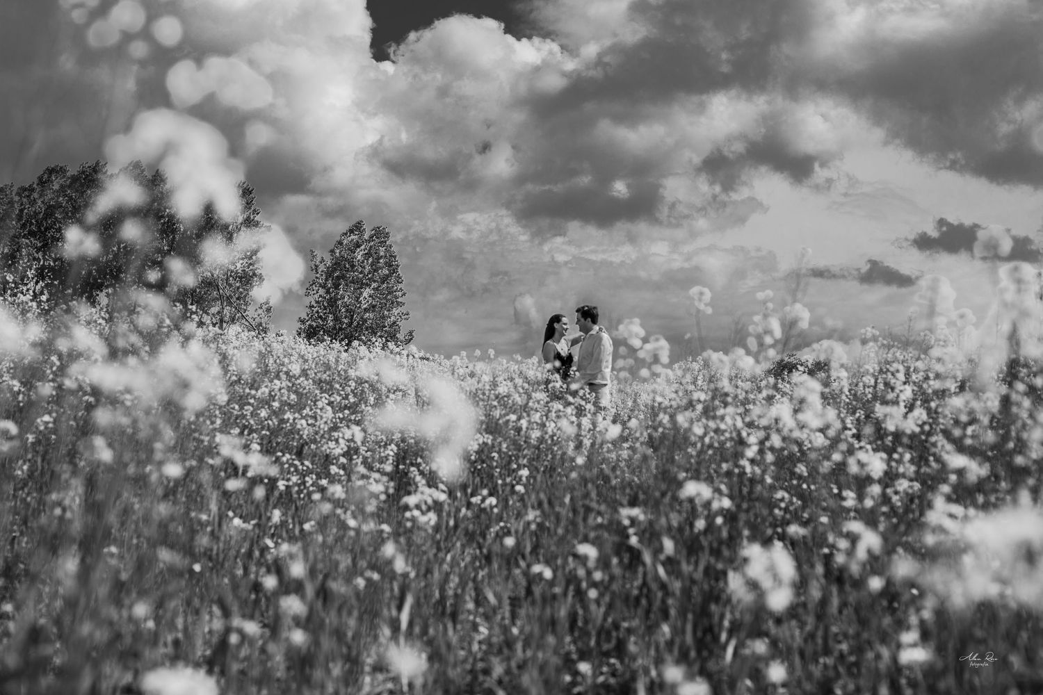 Black and white photo of couple kissing in a wildflower meadow under dramatic cloudy skies.