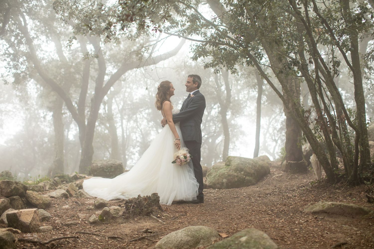 Bride and groom embrace in a misty forest wedding photo among trees and rocks.