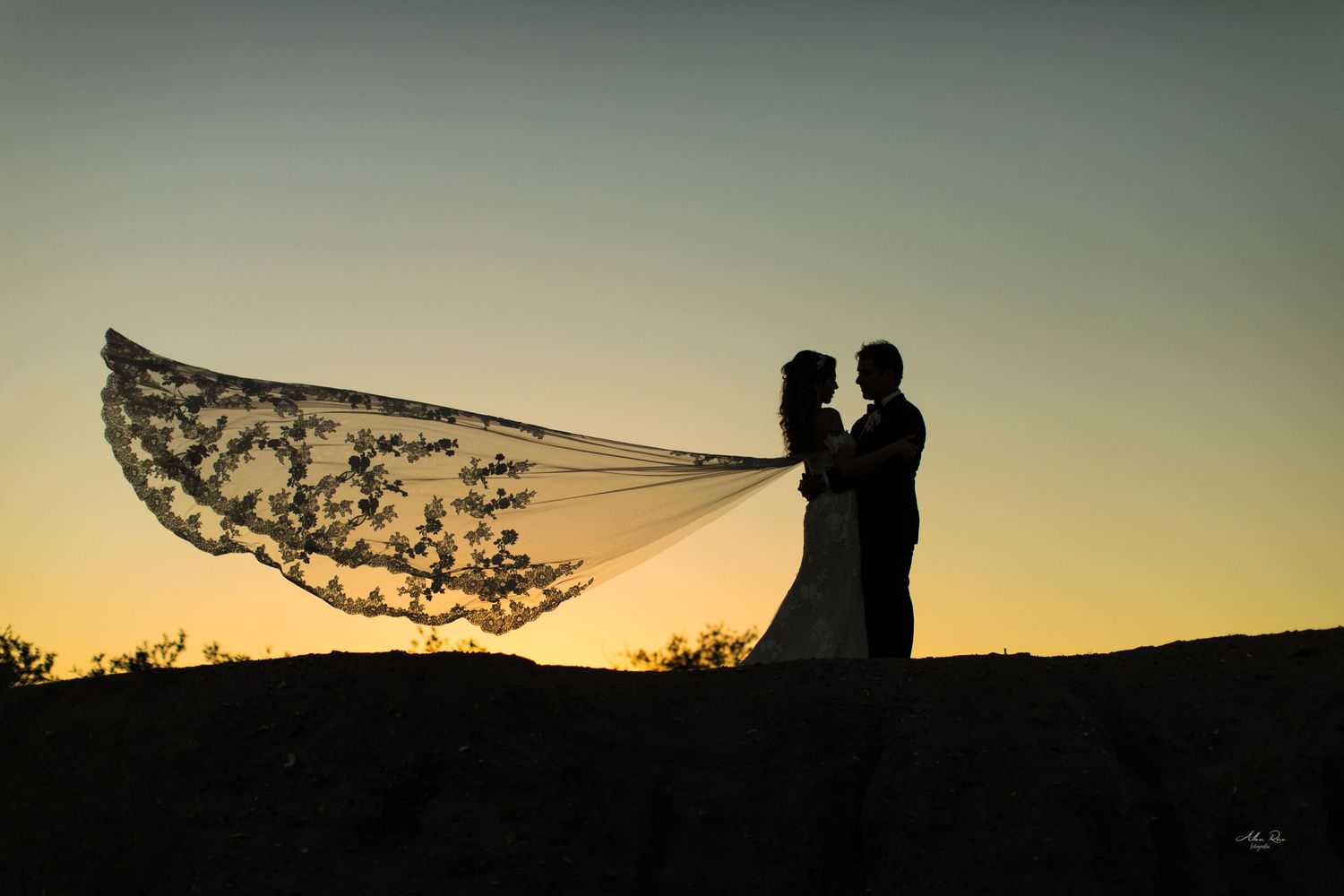 Silhouette of bride and groom with flowing lace veil billowing in wind against golden sunset sky.