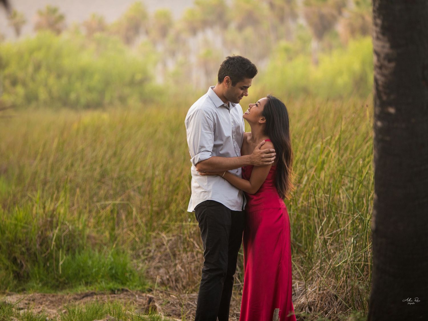 Couple embracing romantically in a lush green field, woman in red dress, surrounded by tall grass.