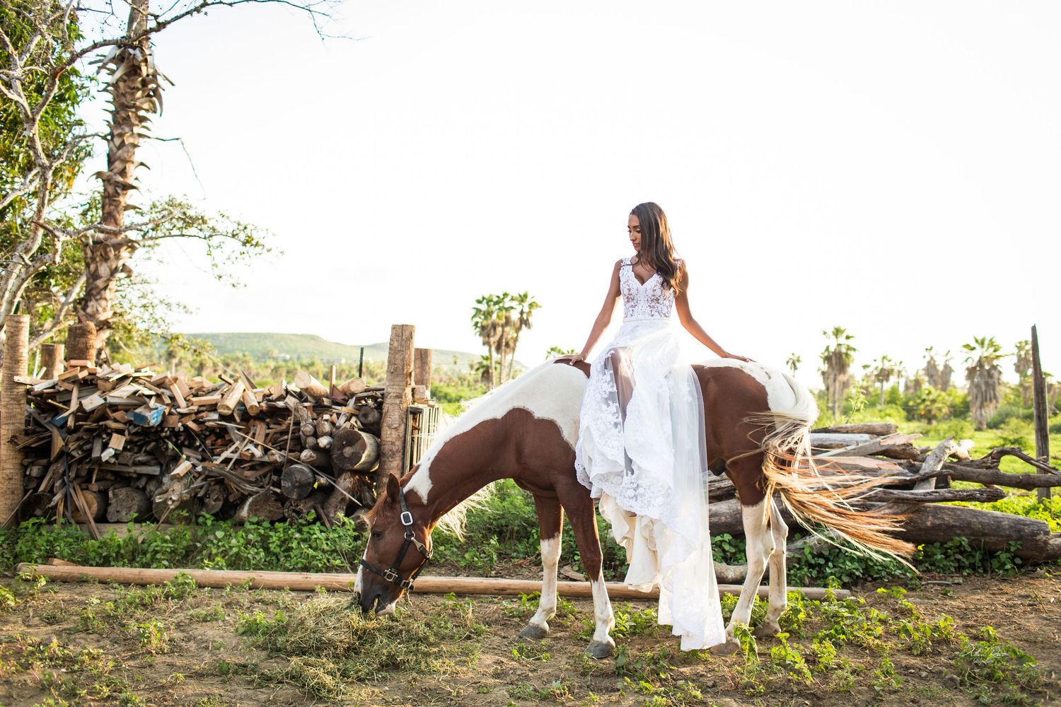Bride in flowing white gown sitting atop a brown and white horse in a scenic outdoor setting.