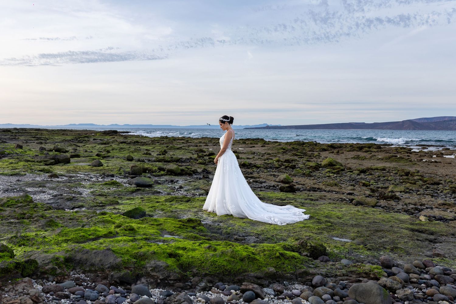 Bride in white gown with train standing on mossy coastal rocks at sunset.