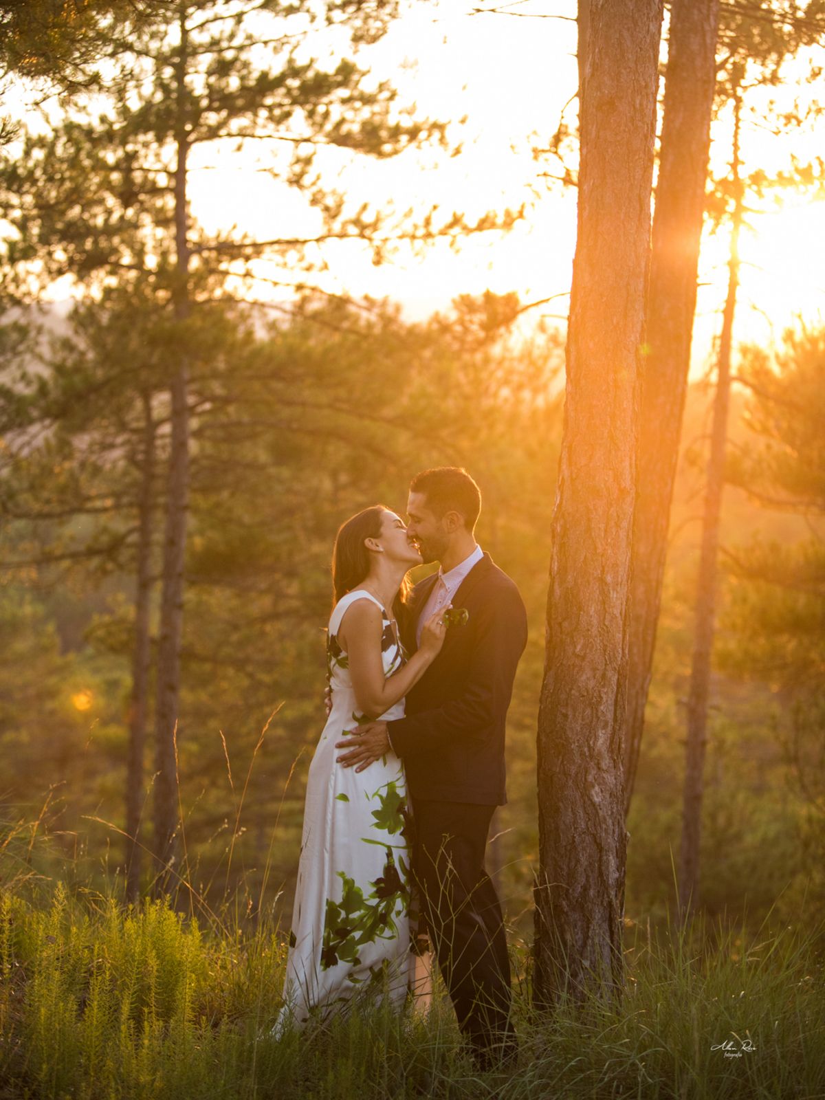 Bride and groom kissing in golden sunset light among tall pine trees in forest.
