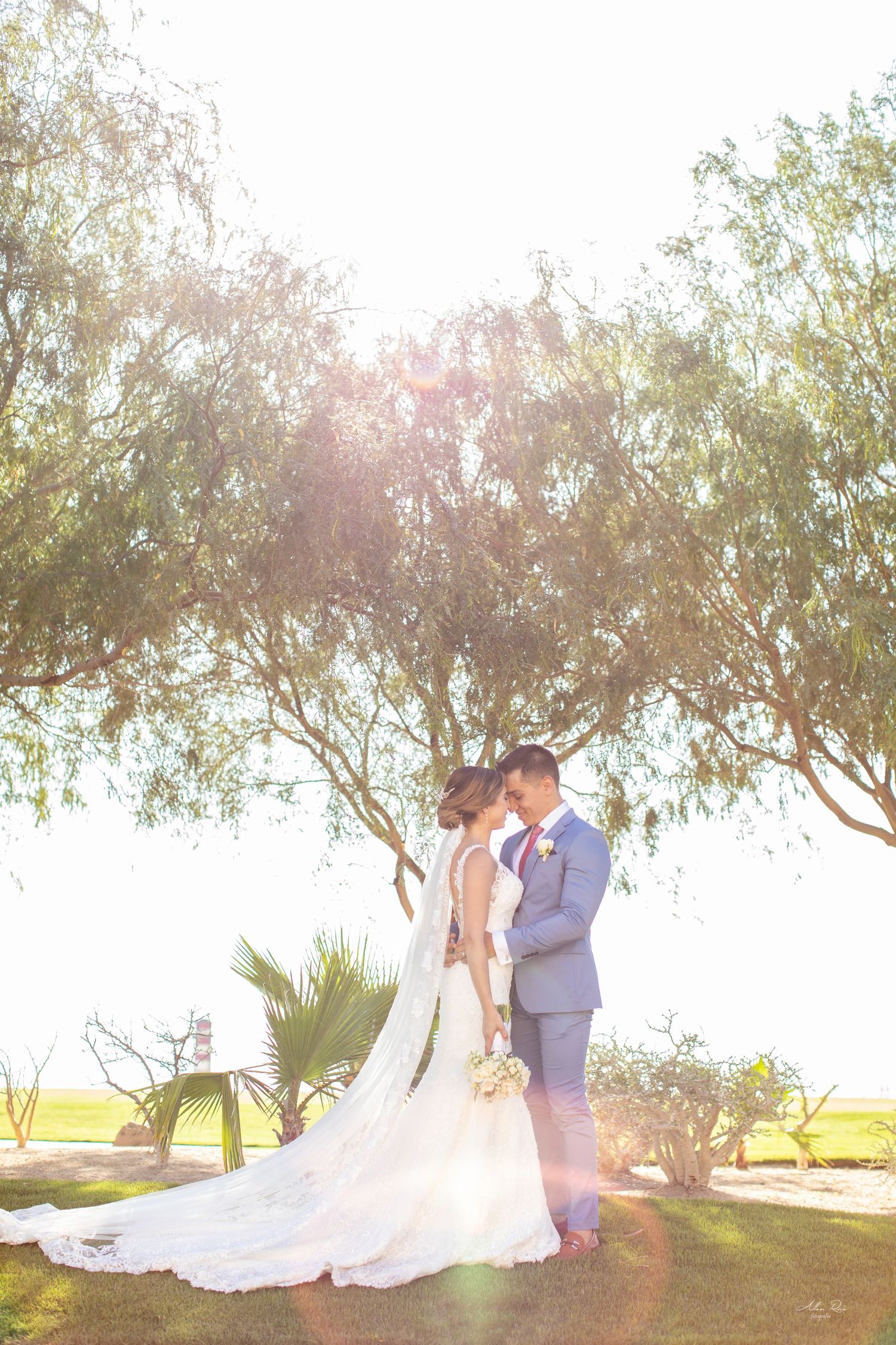 Bride and groom share a romantic kiss under a sunlit tree, bride wearing a flowing white gown with long train.