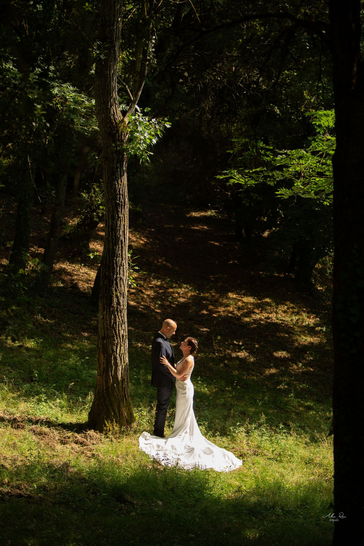 Bride and groom sharing a romantic embrace in a sunlit forest clearing surrounded by tall trees.