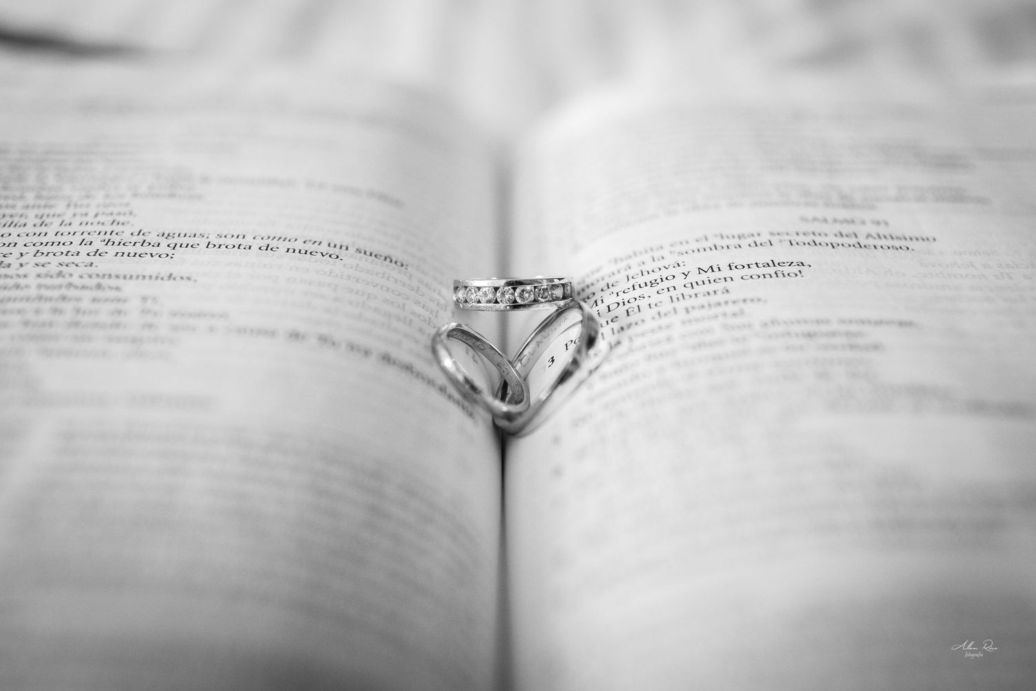 Black and white close-up of two wedding rings forming a heart shape on an open book.