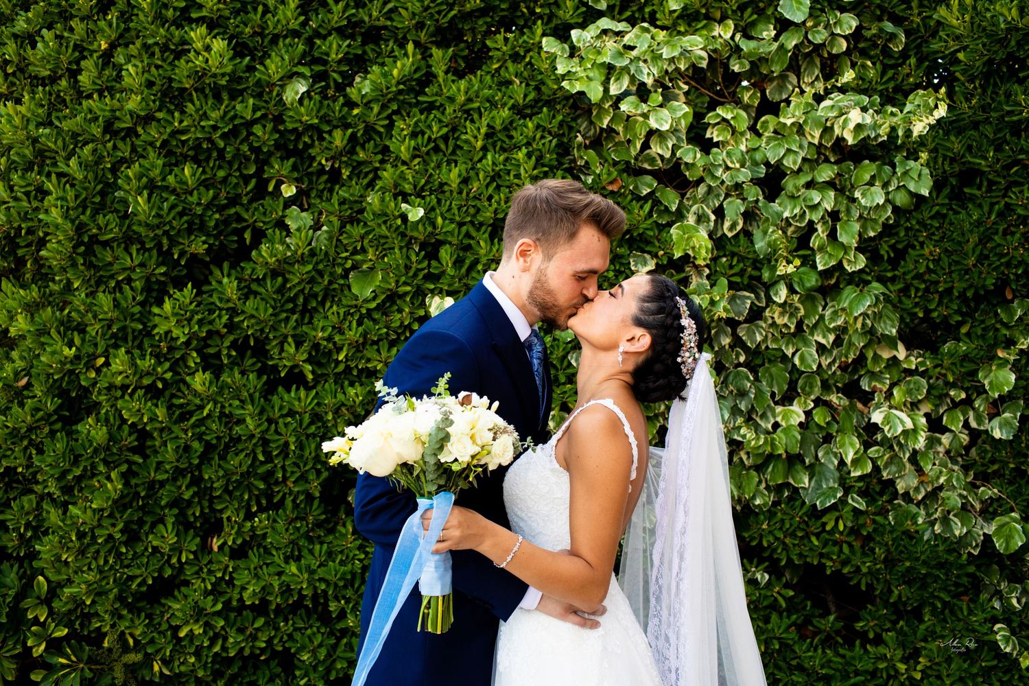 Wedding couple kisses in front of lush green ivy wall, bride holding white floral bouquet with blue ribbon.