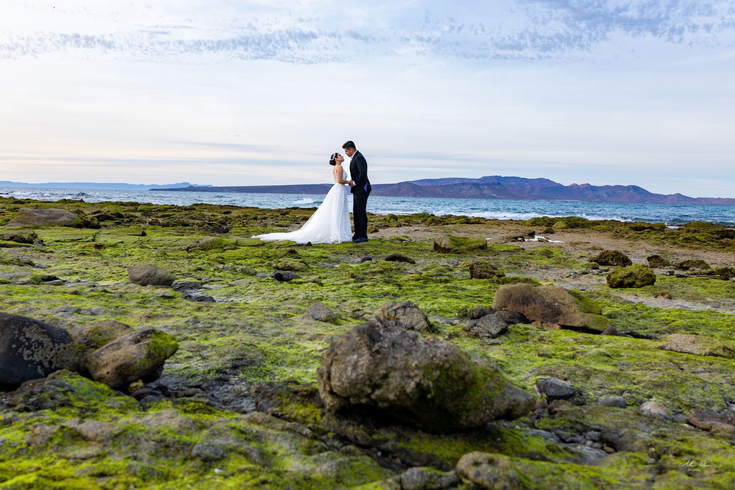 Bride and groom embracing on lush green moss-covered rocks by the ocean shore.