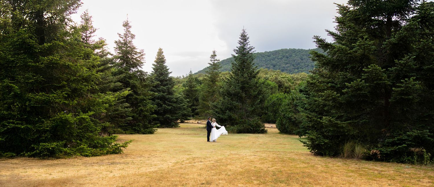Bride and groom share romantic moment in open meadow surrounded by tall pine trees.