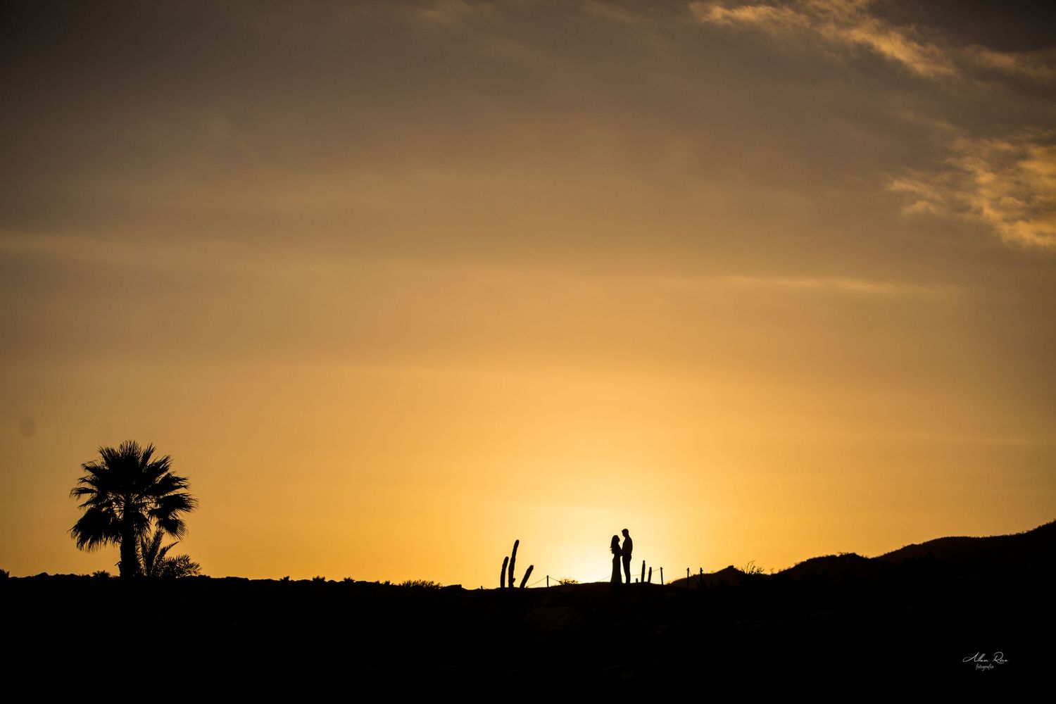 Romantic silhouette of couple standing together at vibrant golden desert sunset with palm tree nearby.