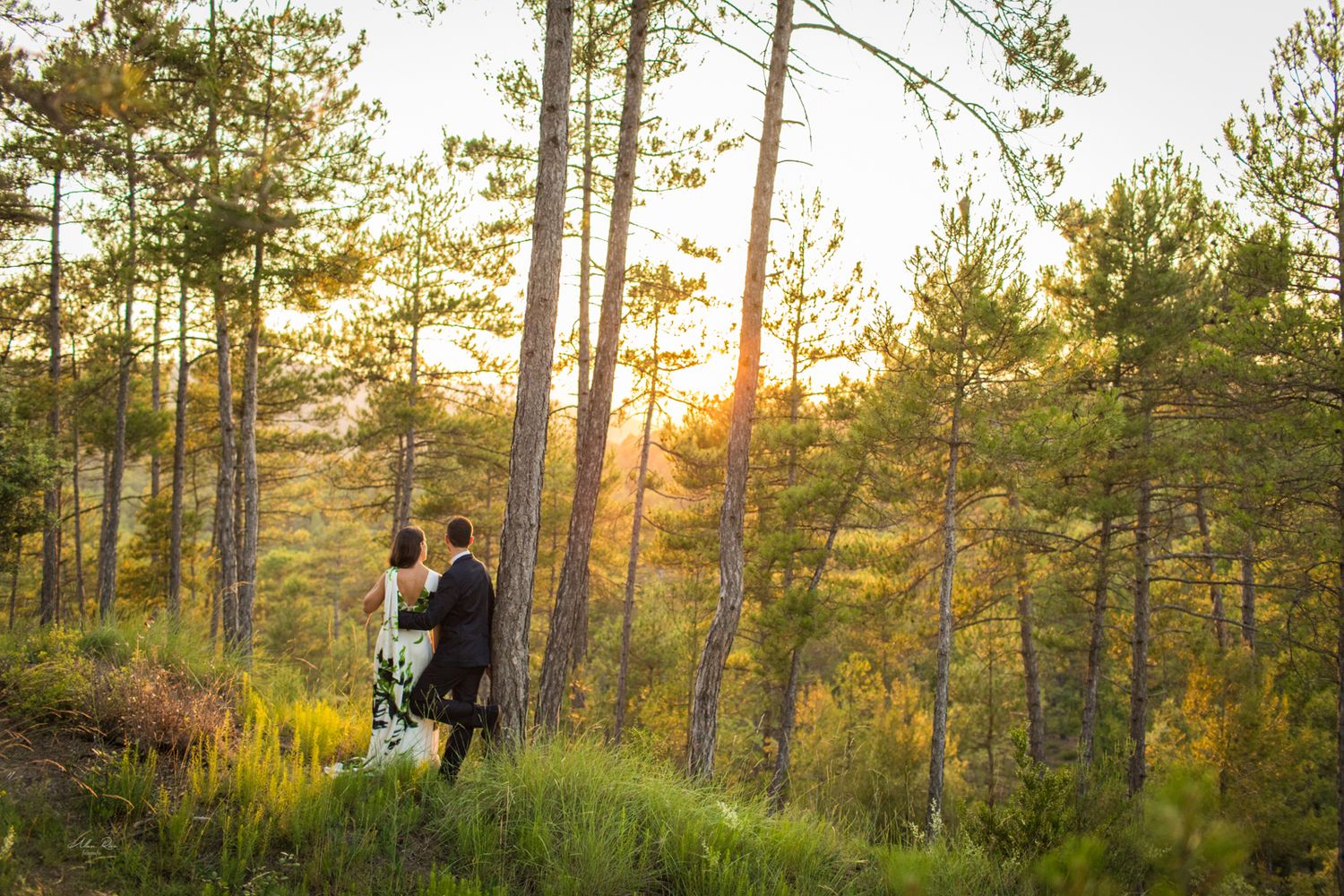 Couple walking hand in hand through a pine forest during a golden sunset.
