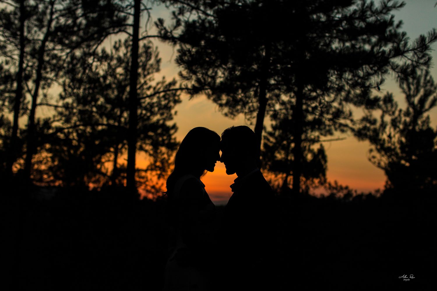 Couple sharing intimate moment silhouetted against golden sunset through forest trees.