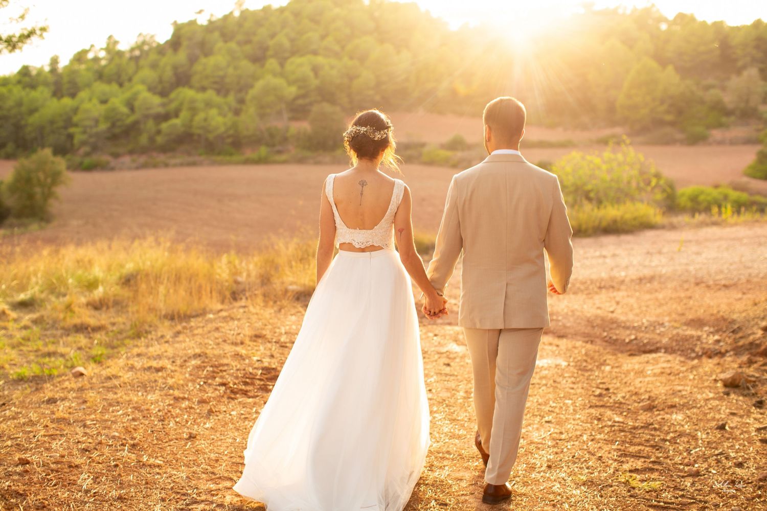 Bride and groom walking hand in hand through a golden sunlit field at sunset.
