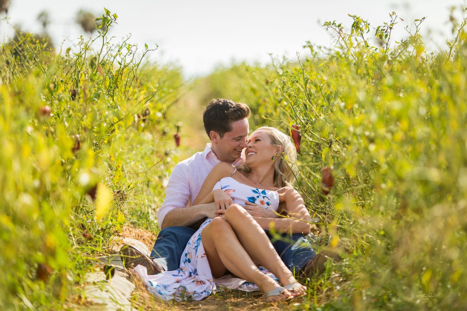 Happy couple sharing a kiss while sitting in a vibrant wildflower field on a sunny day.