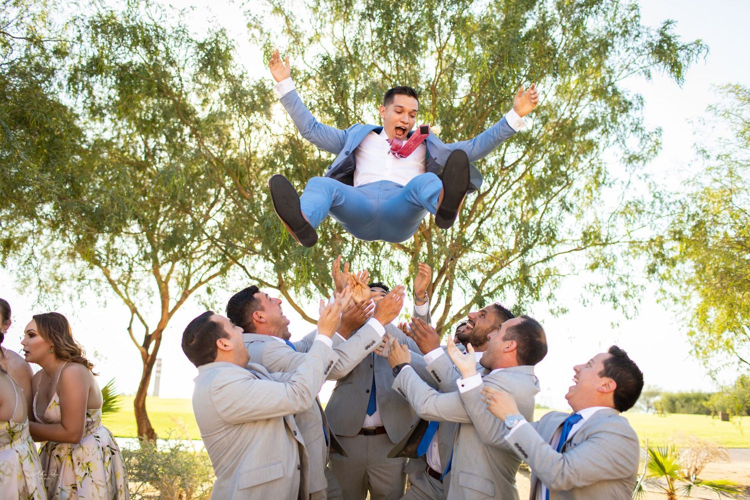 Groomsmen joyfully toss the groom into the air during a fun outdoor wedding celebration under green trees.