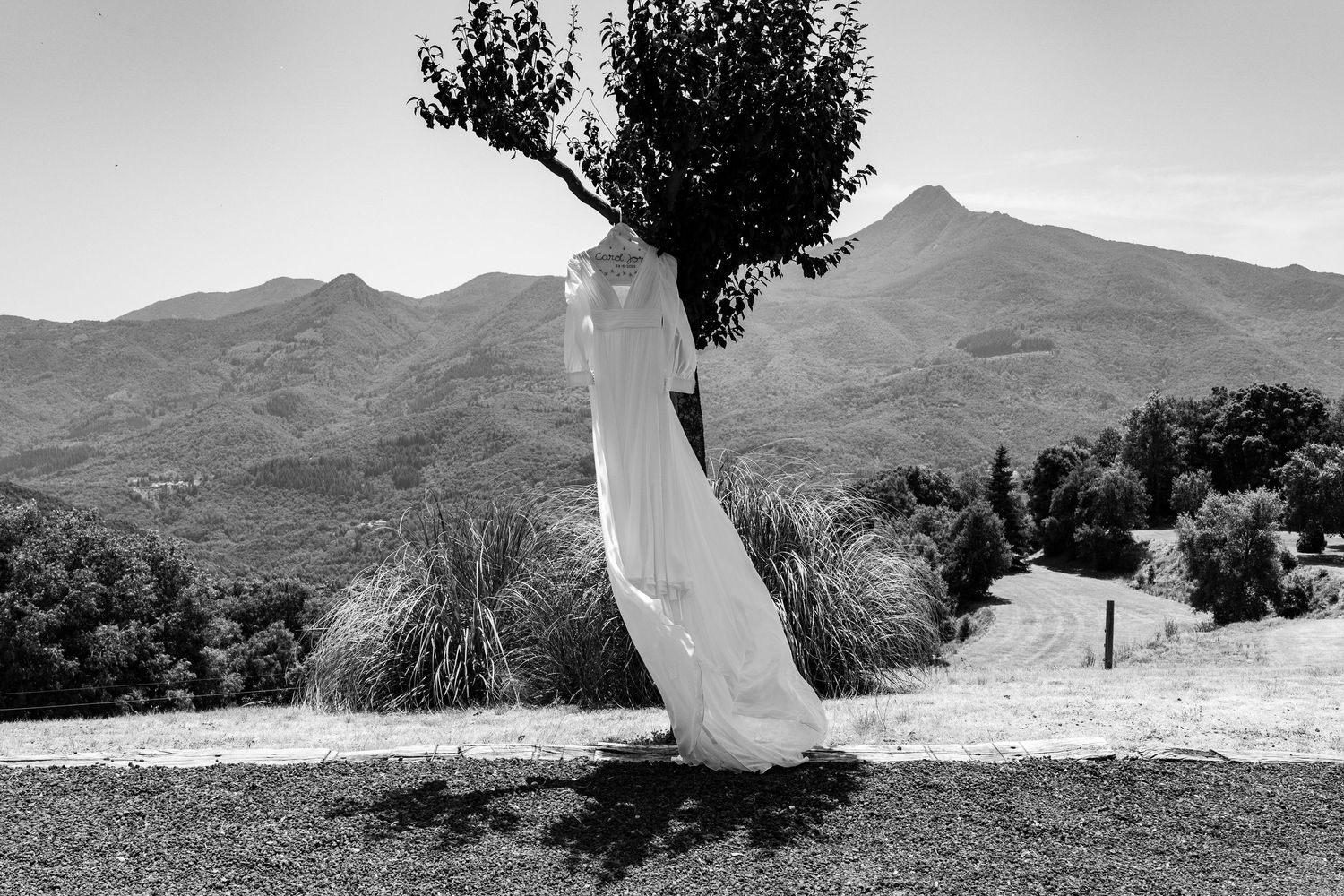 Black and white photo of a flowing white wedding dress hanging on a tree with mountain backdrop.