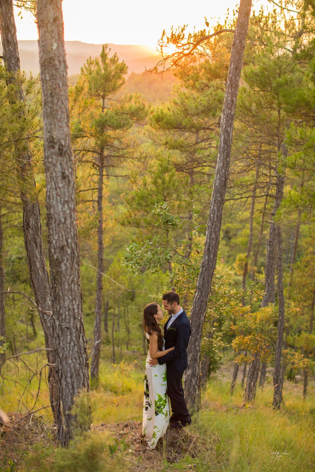 Wedding couple embraces romantically between tall pine trees in a glowing golden forest sunset.