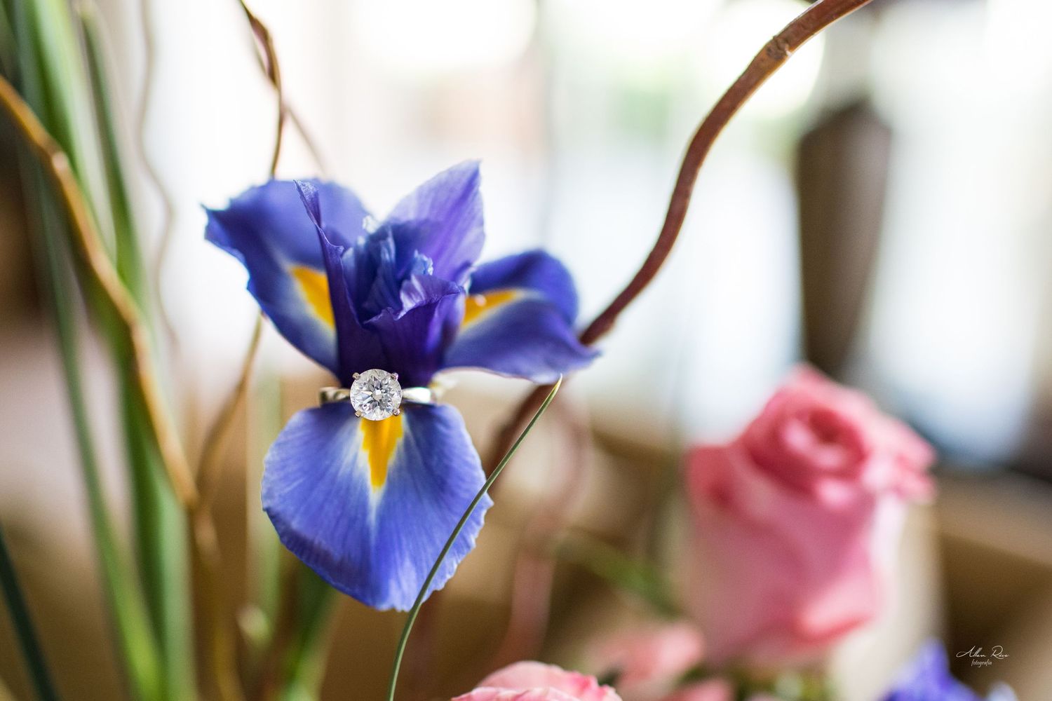 Diamond engagement ring resting on a vibrant purple iris flower with soft bokeh background.