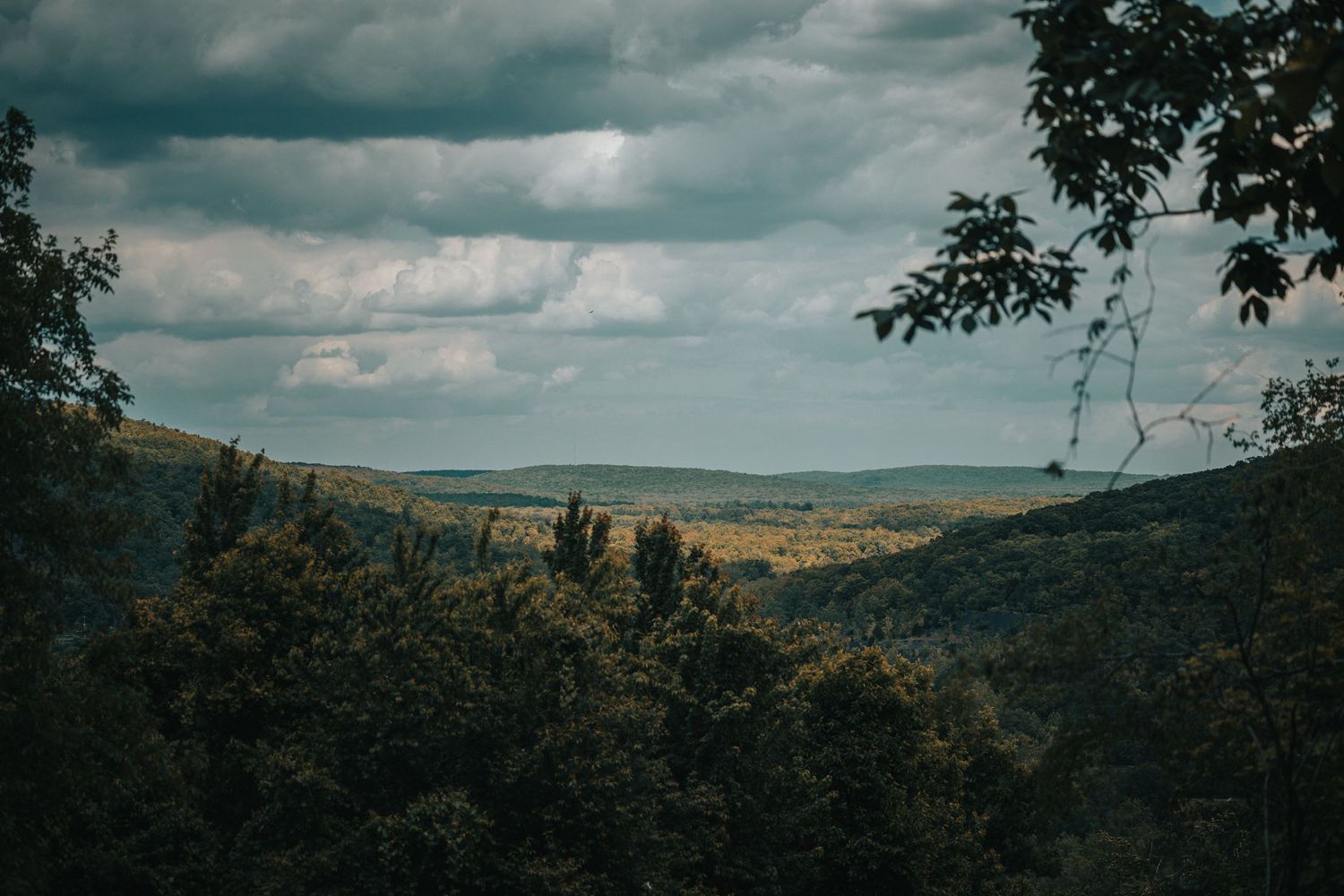 Panoramic view of lush green forested hills and valleys under dramatic cloudy skies in summer.