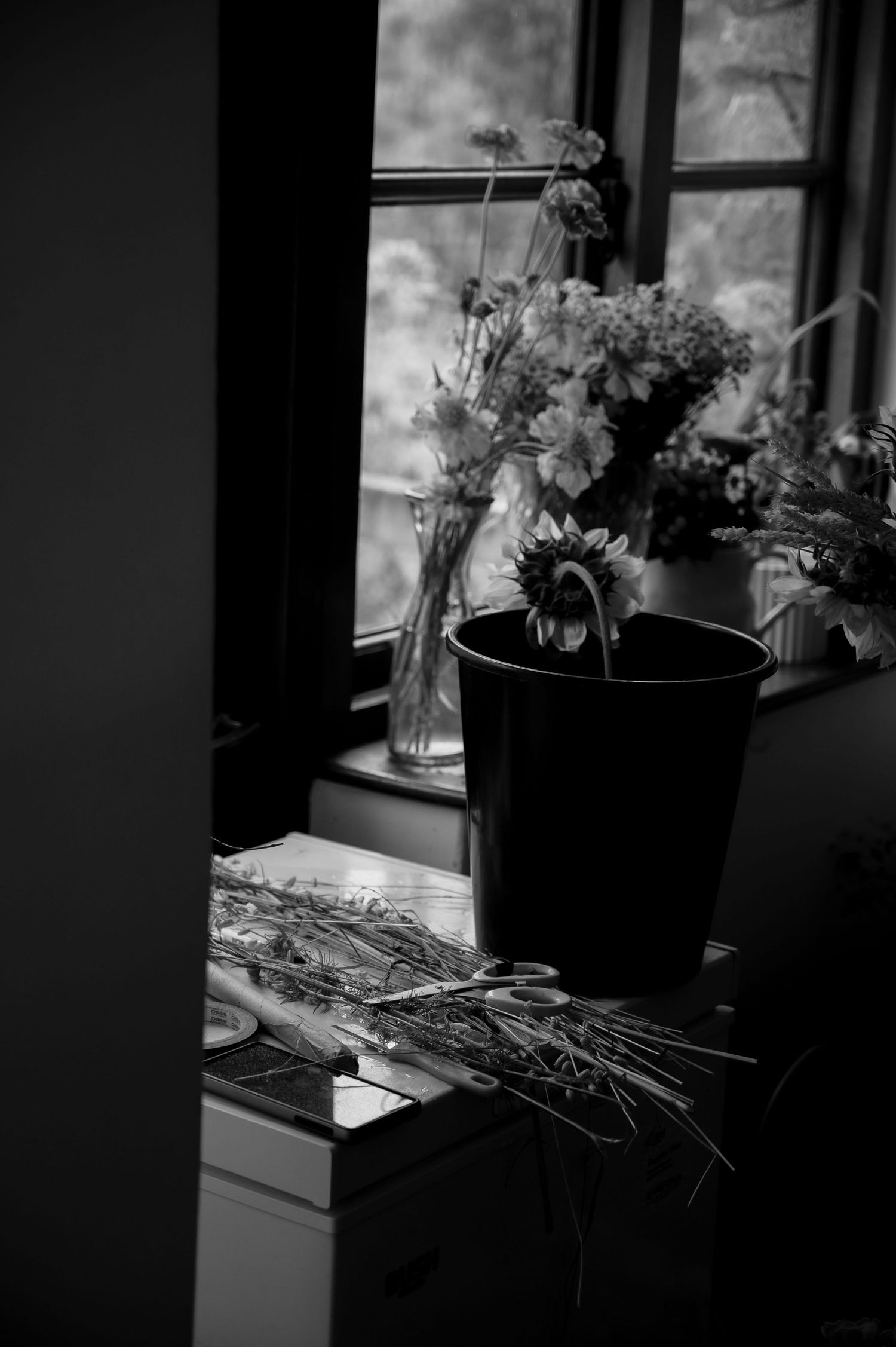 A sunflower sits in a bucket, stems and a pair of scissors lie on the counter next to it. Other flowers sit on the windowsill behind.