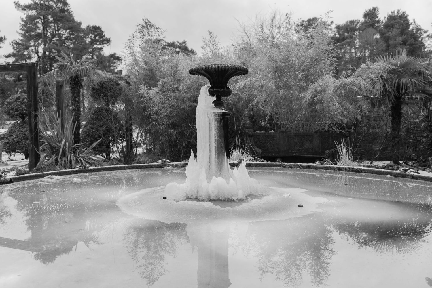 An ornate water fountain covered in long shards of ice where flowing water has frozen. Reflections of trees glisten on the icy surface.