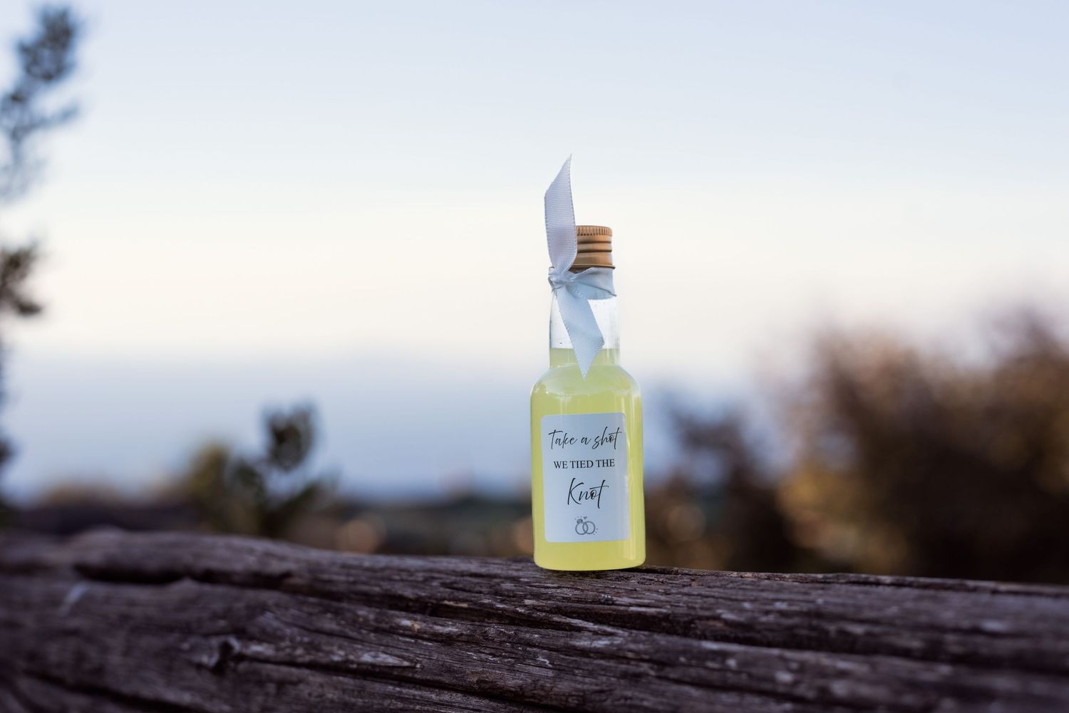 Miniature bottle of limoncello tied with a white ribbon, positioned on a branch overlooking the coast line of Sorrento.