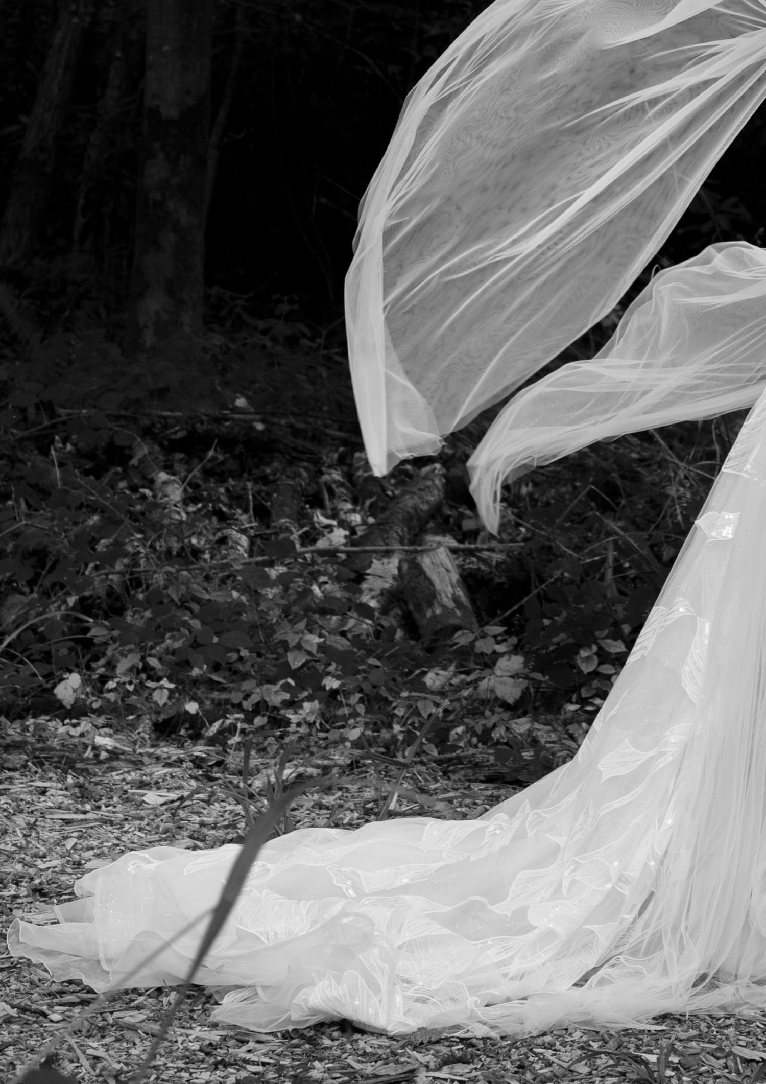 Wedding dress train and veil blow in the wind in a forest.