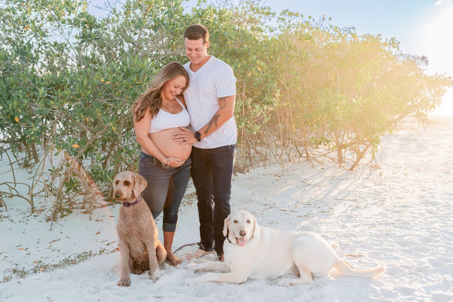 Smiling couple with two dogs on white sand beach, hands on pregnant belly, maternity session.
