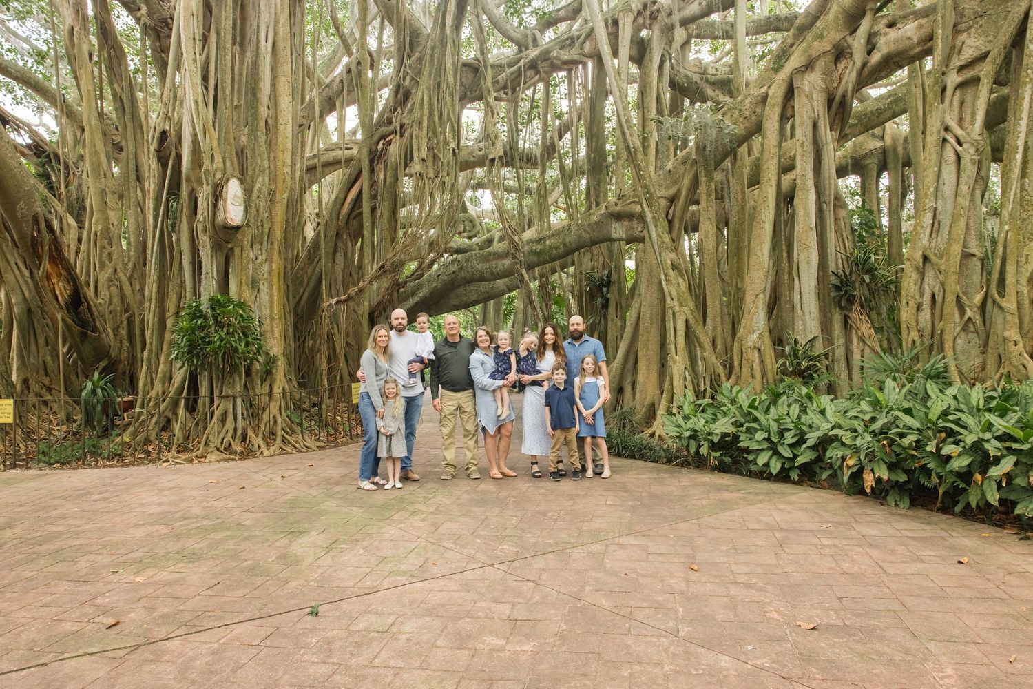 Large group of people posing under a massive banyan tree with sprawling aerial roots in a tropical setting.