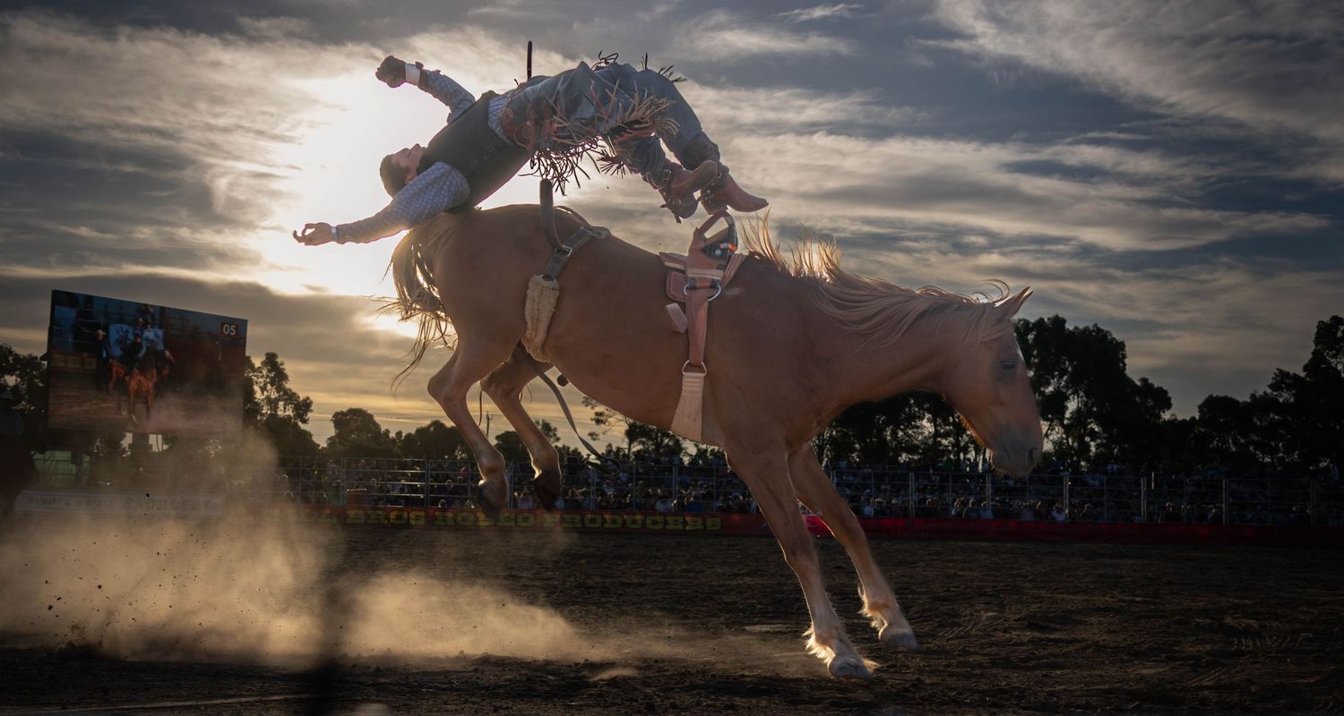 Dramatic rodeo moment with rider and bull in motion Ballarat