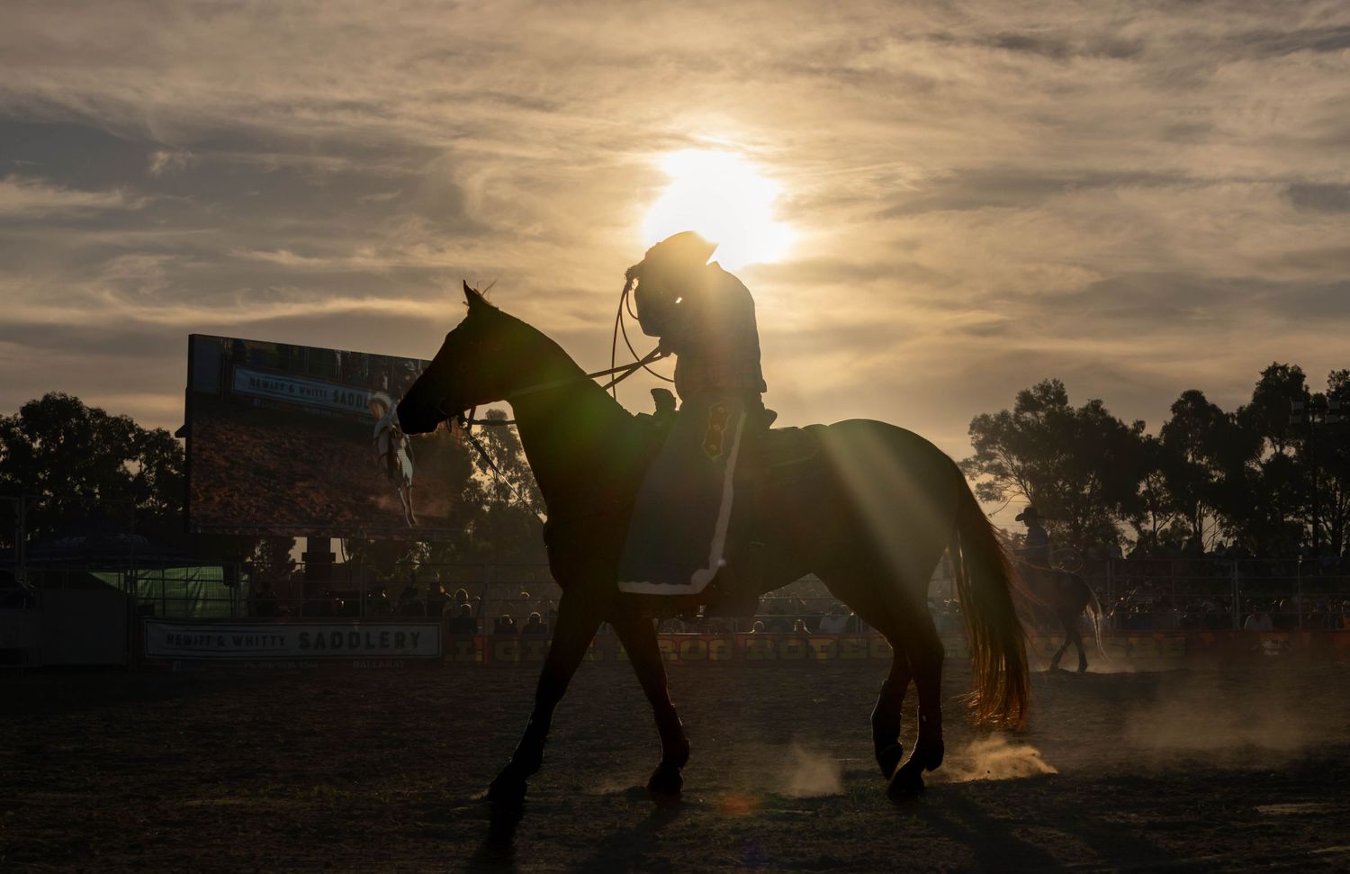 Rodeo rider on horse at sunset Victoria event photography