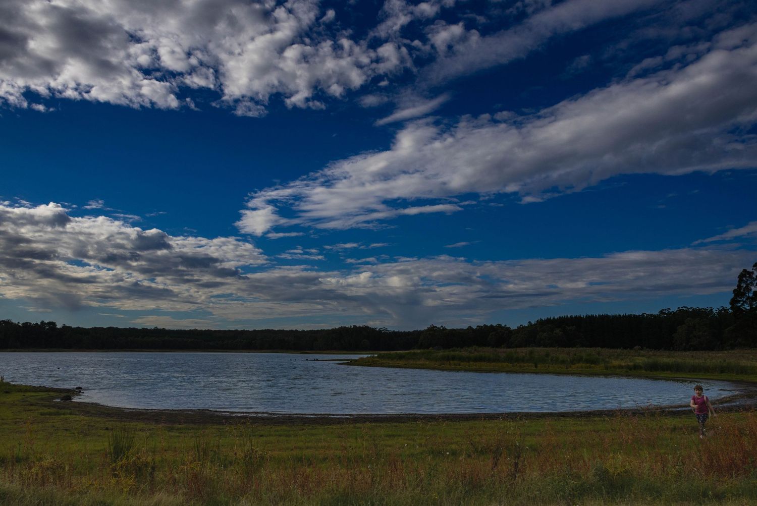 Open landscape with water and sky captured in natural light