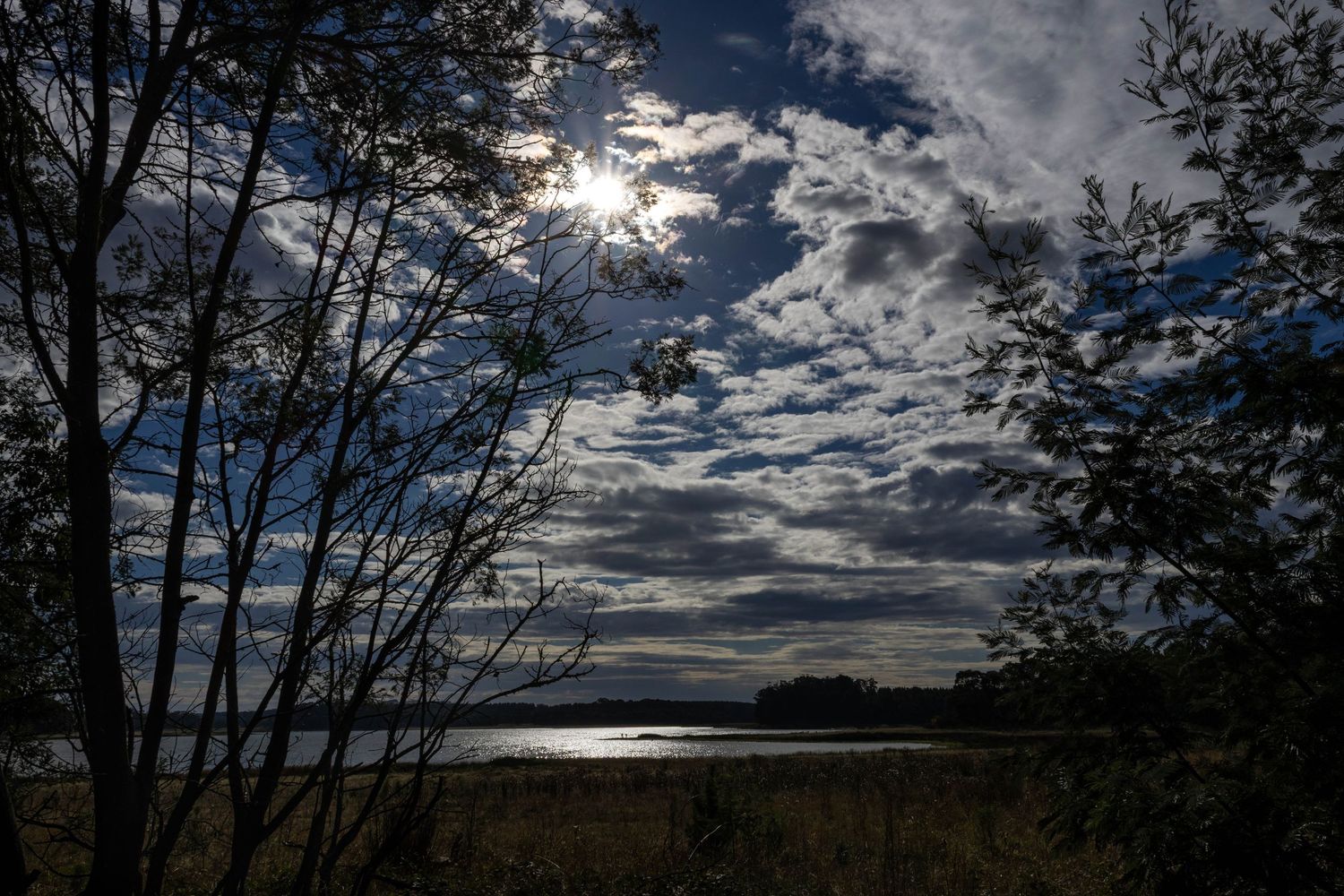 Trees framing a lakeside view with light breaking through clouds