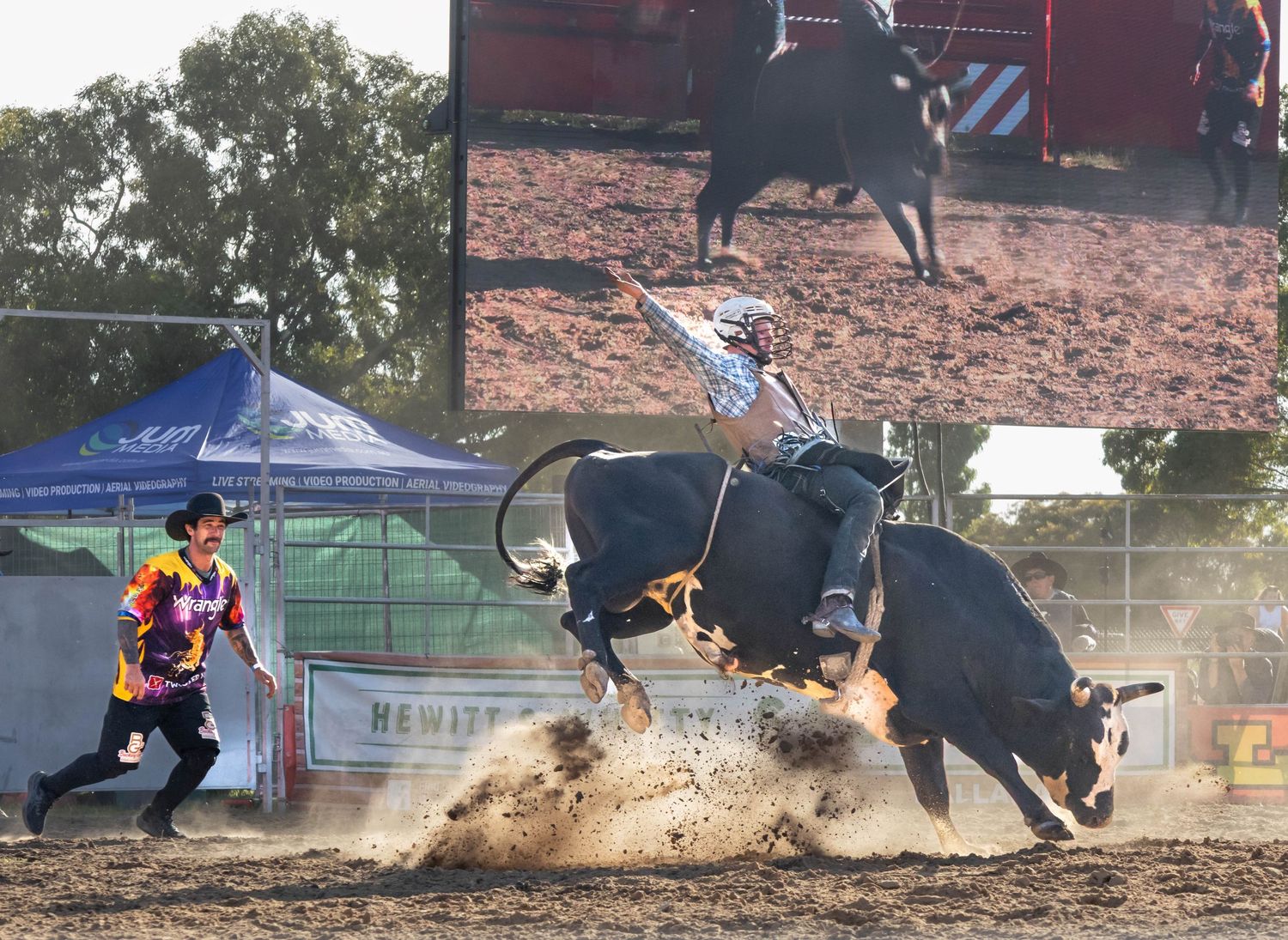 Rodeo action with bull rider kicking up dust in Ballarat arena