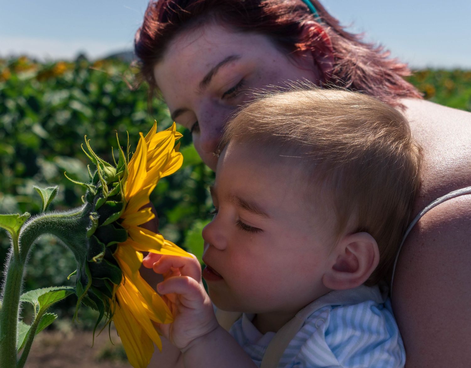 Mother and baby with sunflower natural family photography Victoria