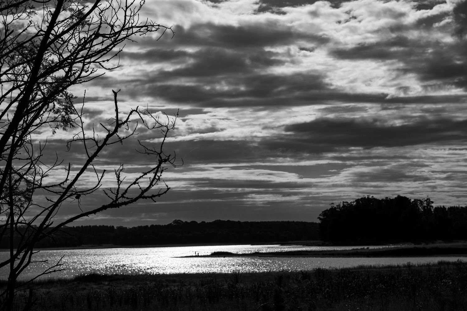 Monochrome landscape capturing quiet water and moody sky
