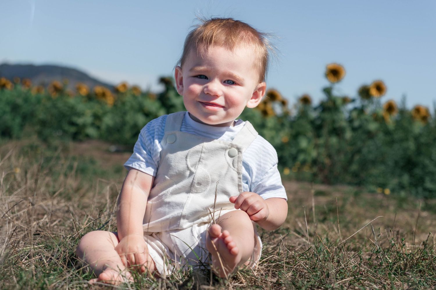 Soft, natural family portrait set in a sunflower field