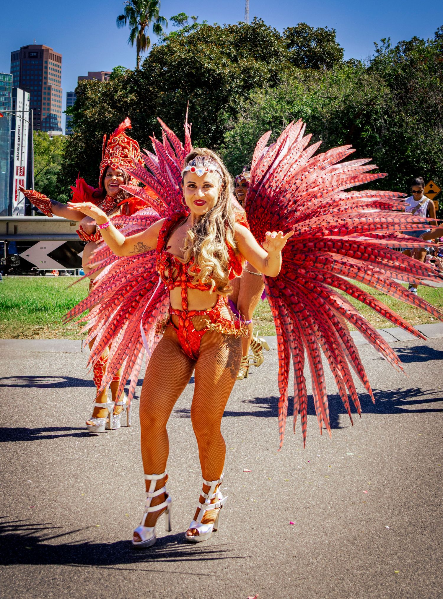 Festival costume with feathers and colour at Melbourne Moomba parade