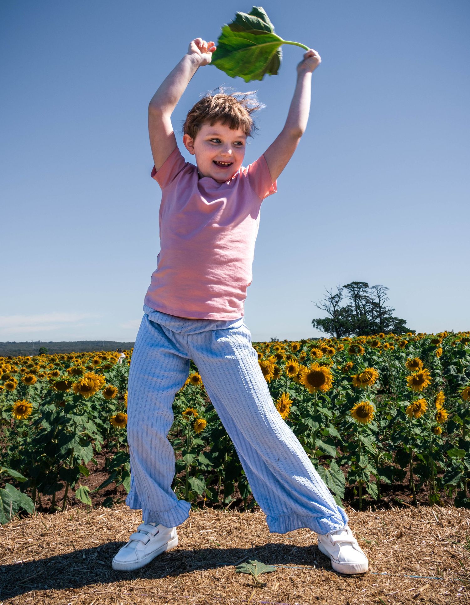 Child playing among tall sunflowers in warm evening light